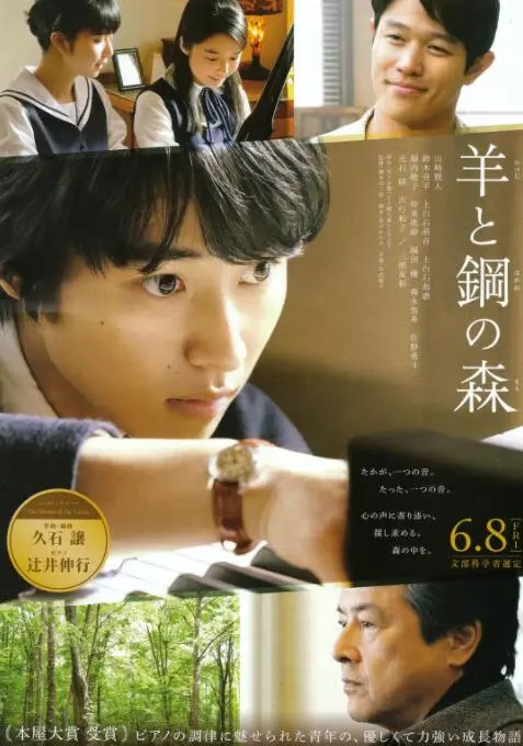 《羊与钢的森林》：少年钢琴调音师的治愈森林，寻找内心回声的旅程