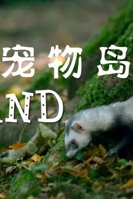 《宠物岛》影评：韦斯·安德森的定格动画乌托邦，一场关于忠诚与救赎的奇幻冒险